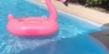 5AF28C6A-4759-4945-96A8-A3B25ED1B159.jpeg